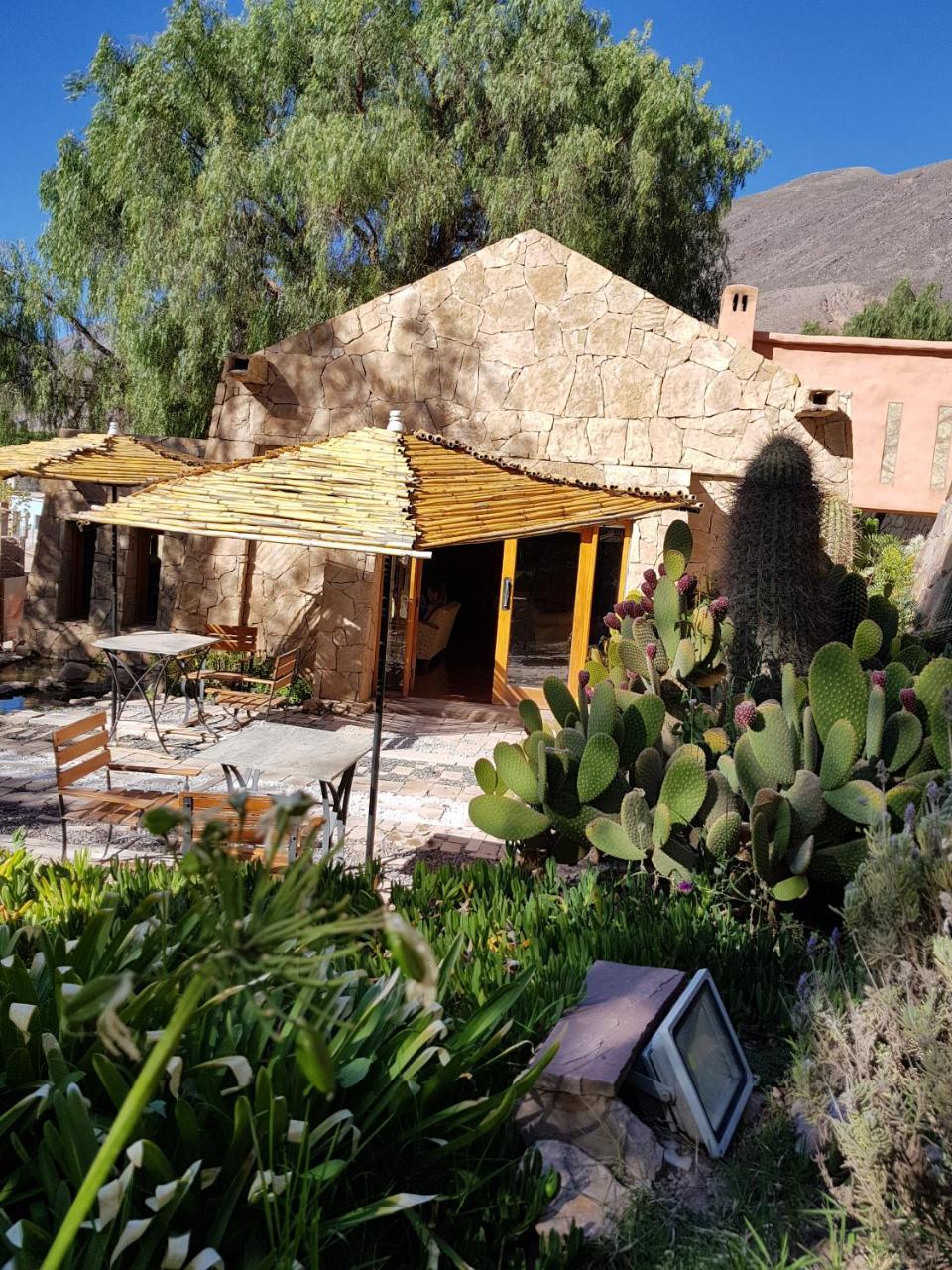 Las Terrazas Hotel Boutique Тилкара Екстериор снимка